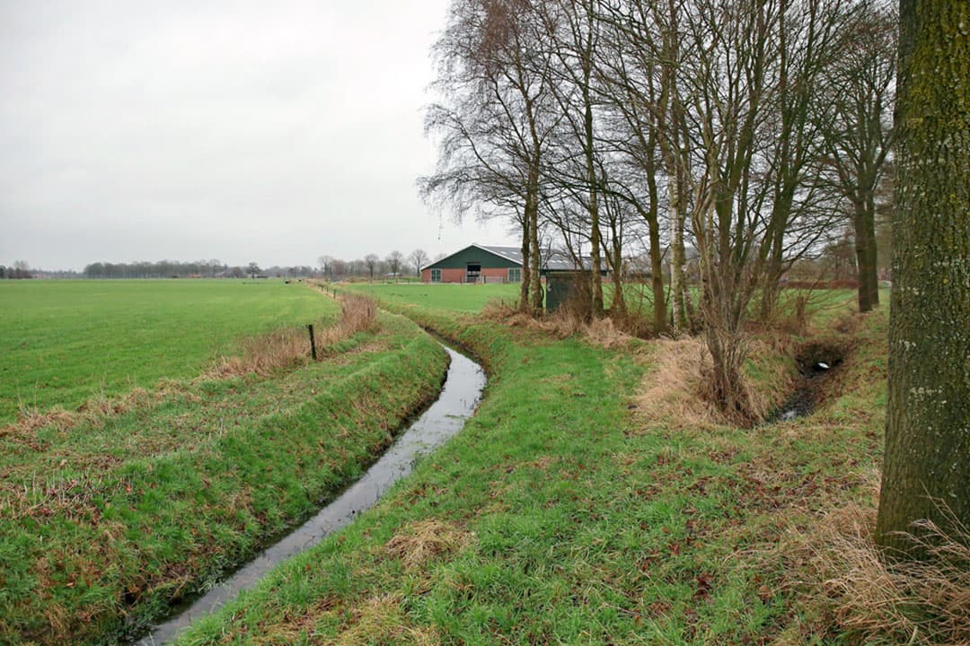 In de Achterhoek wordt al geschermd met hogere graslandprijzen à €1.500 per hectare voor nieuwe korte geliberaliseerde pachtcontracten. Die prijzen gelden dan wel voor het jaar 2023. - Foto: Hans Prinsen