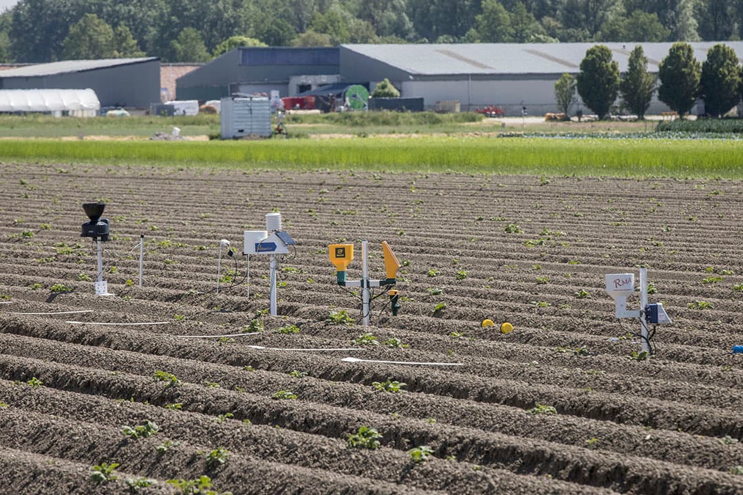 Vergelijkingstest van vochtsensoren in Flevoland. Uit de sensorwaarden is niet onmiddellijk een beregenings- of irrigatie advies te herleiden. - Foto: Koos Groenewold
