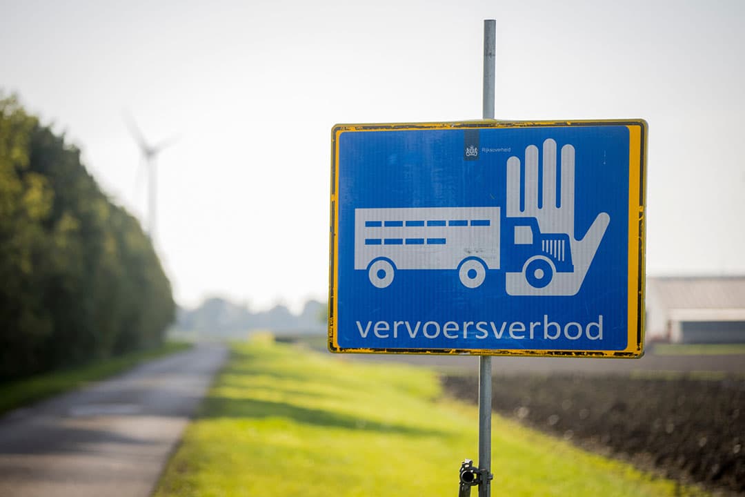 Foto: Koos Groenewold