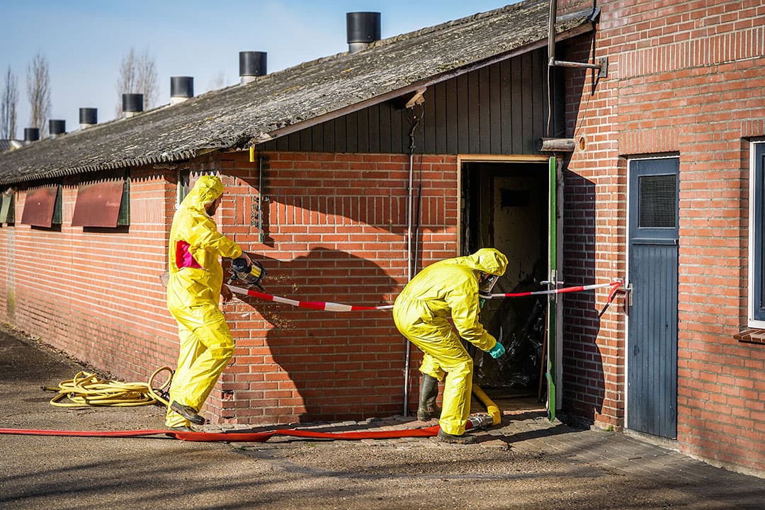 Foto: Bert Jansen