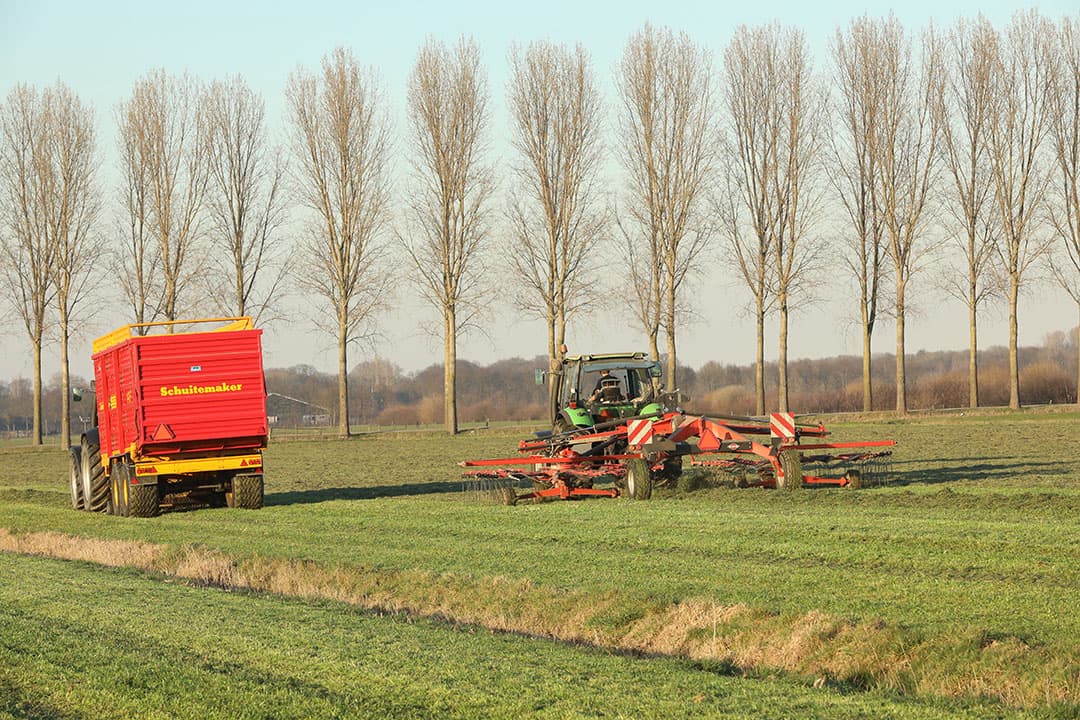 Foto: Henk Riswick