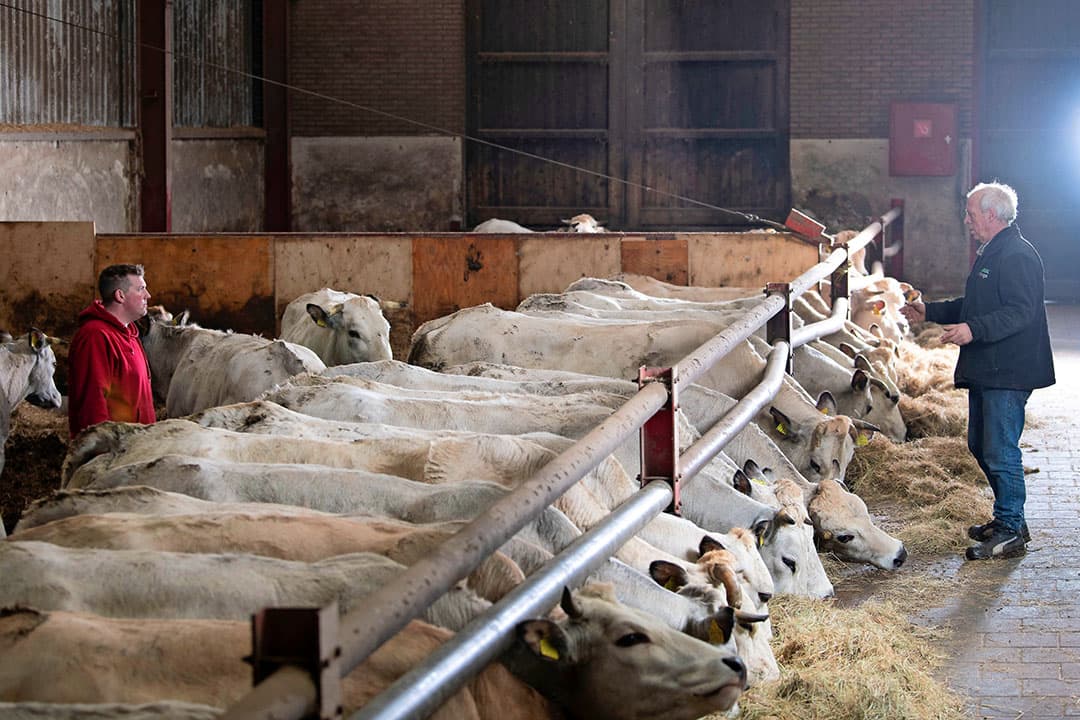 Foto's: Mark Pasveer