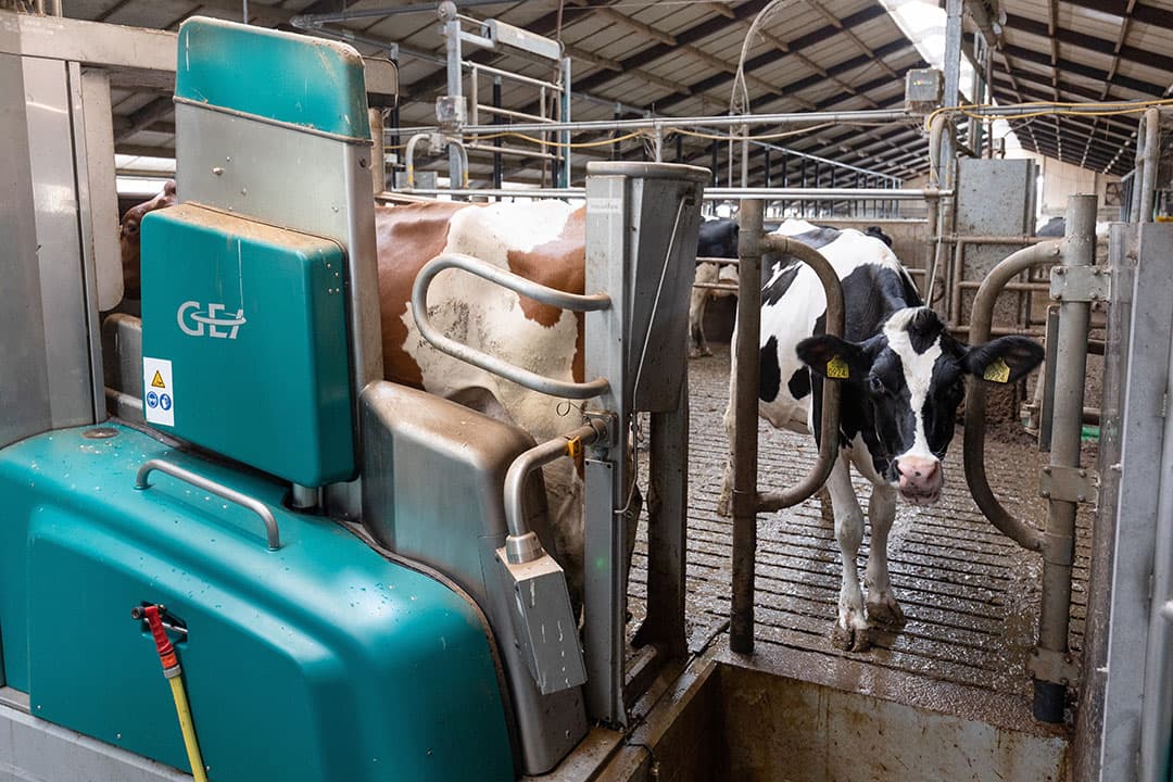 Met een melkrobot is de arbeidsinzet van de veehouder lager en ook meer flexibel. - Foto: Herbert Wiggerman