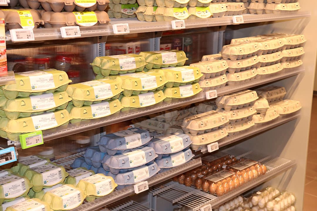 Albert Heijn gaat legpluimveehouders compenseren voor de sterk gestegen voerprijs met een toeslag van € 0,009 per door AH afgenomen tafelei. Foto: Hans Bijleveld