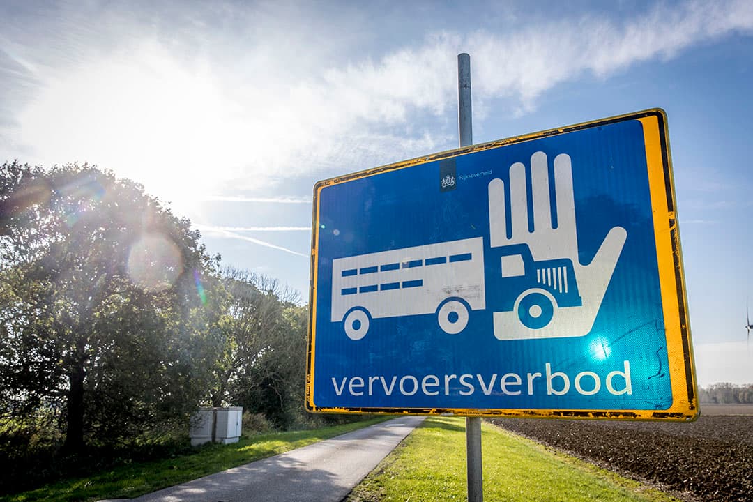 Foto: Koos Groenewold