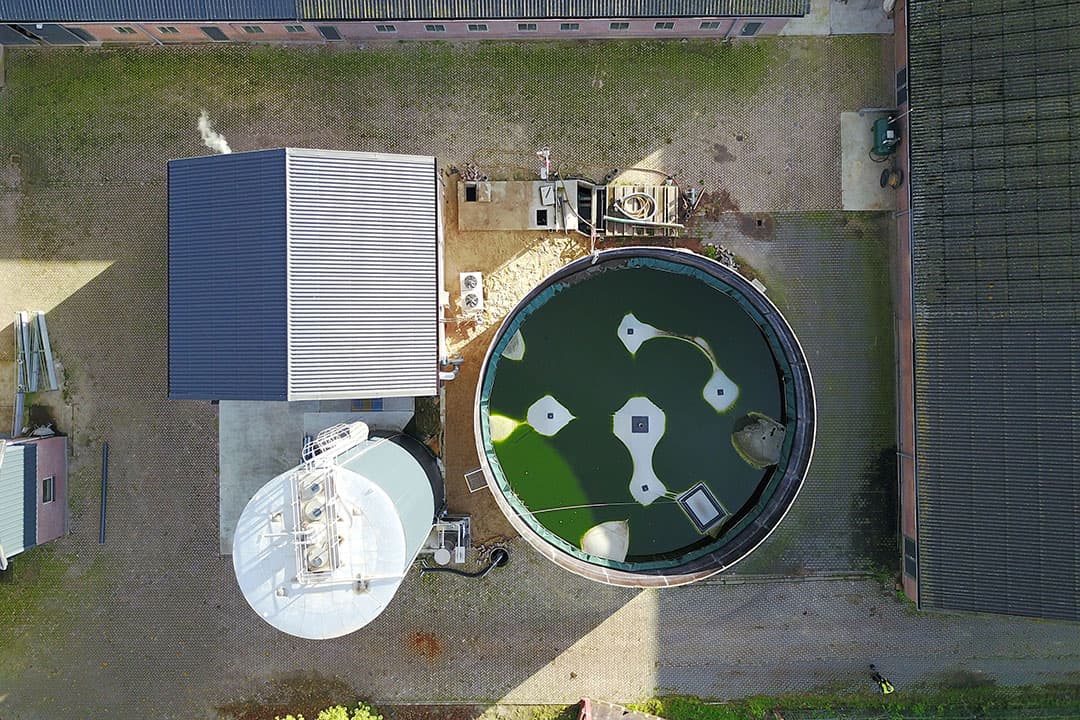Installatie voor het verwerken van mest in een monovergister voor productie van gas. - Foto: Bert Jansen