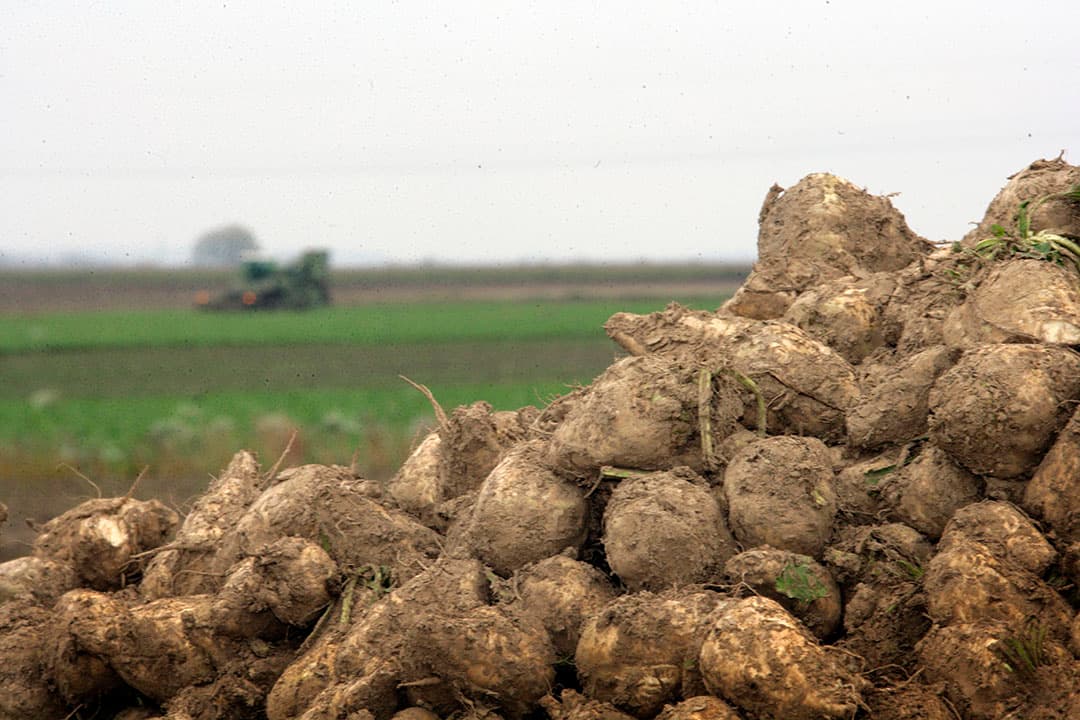 Foto: Henk Riswick