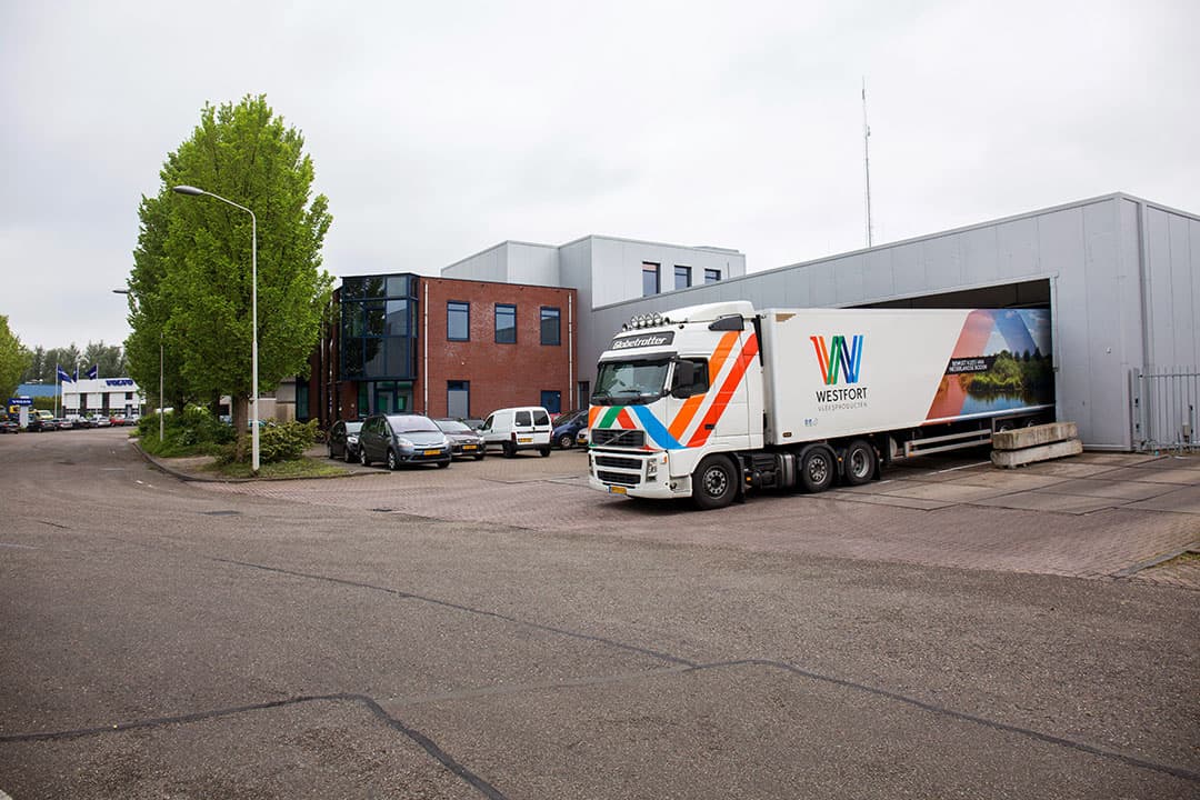 Slachterij Westfort in Gorinchem. Westfort slacht op 17 maart de laatste zeugen in Gorinchem. - Foto: Herbert Wiggerman