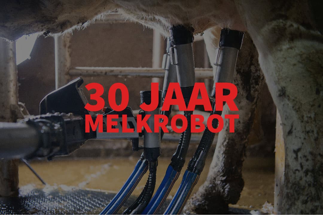 In 1983 werd de eerste koe automatisch gemolken. - Foto: Mark Pasveer
