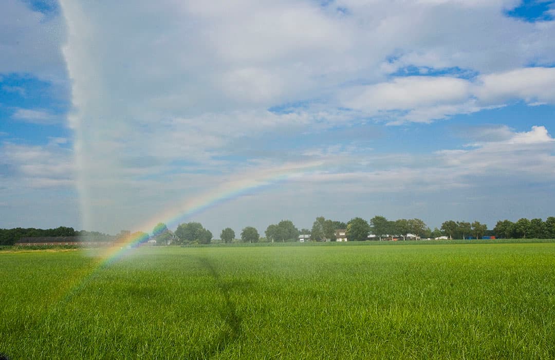 Foto: Bart Nijs