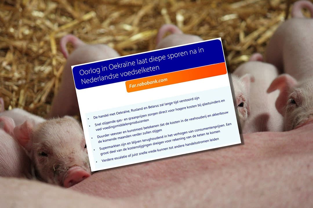 Afbeelding: Rabobank en Canva, bewerking Misset