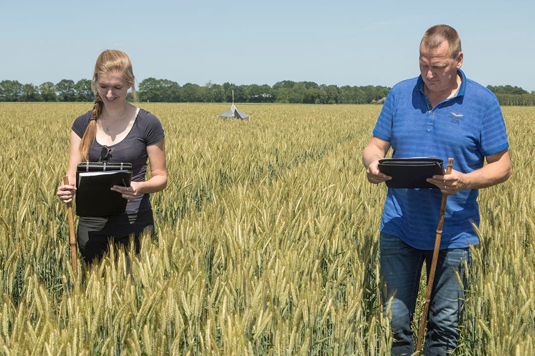 Delphy-onderzoekers monitoren de biodiversiteit binnen een graanperceel om de biodiversiteitsscore te bepalen. - Foto: Koos Groenewold