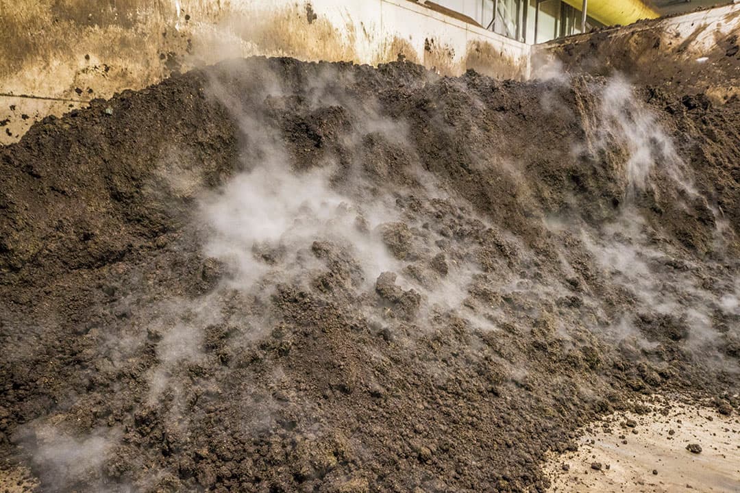 Het gaat om vier bedrijven met biomassa-installaties die werken op basis van een PAS-melding, in plaats van een Nb-vergunning. - Foto: Koos Groenewold