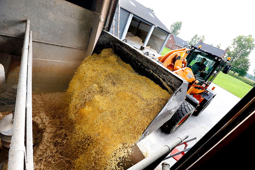 Met een voormenger kunnen varkenshouders stapelbare producten opvoeren in het brijvoersysteem. Dat kan de voerkosten helpen verlagen. - Foto: Bert Jansen