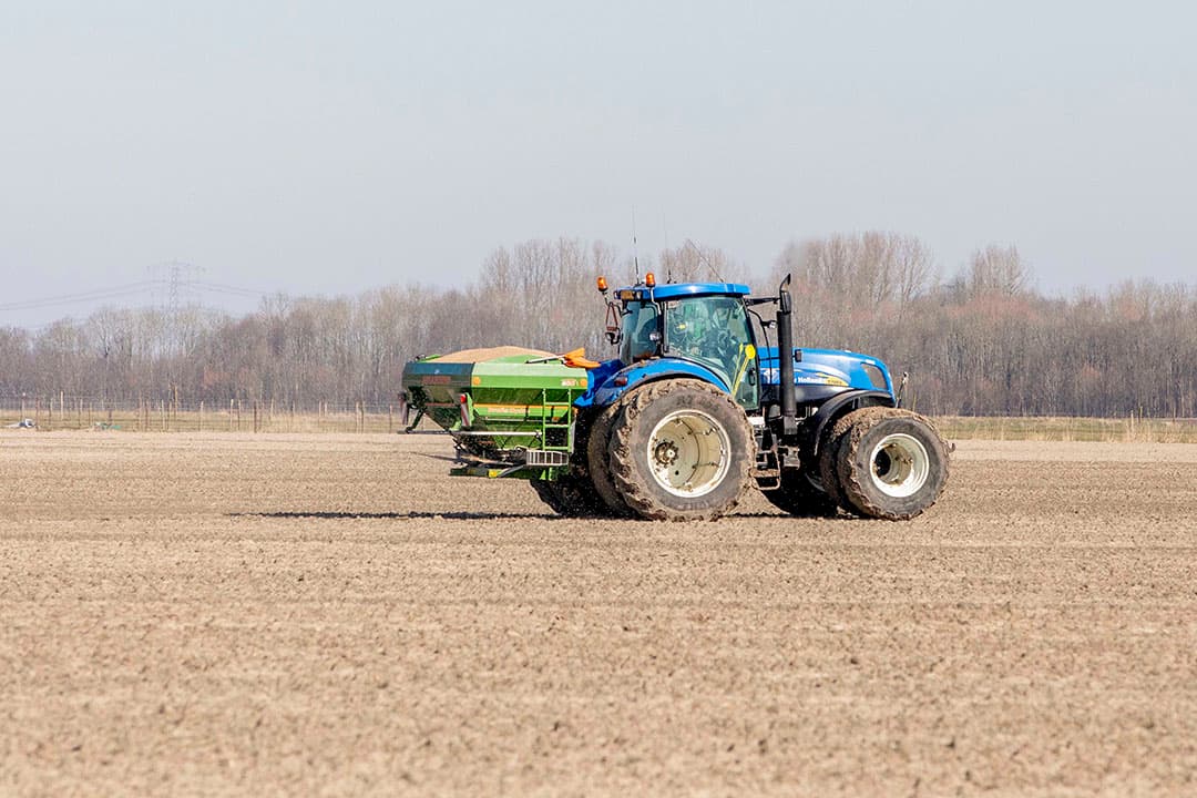 Kunstmest strooien op wintertarwe in Groningen. Het lijkt nu rendabeler om niet voor de laatste kilo's opbrengst te gaan maar iets kalmer aan te doen met de (stikstof)kunstmest. - Foto: Koos van der Spek