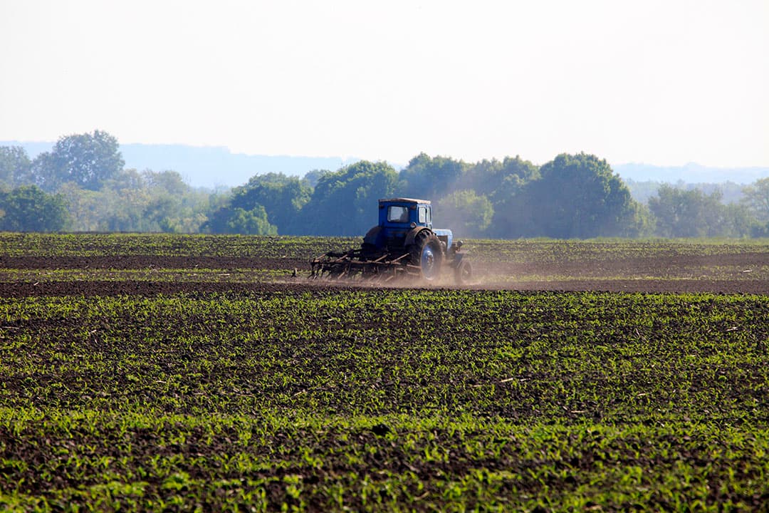 Het Oekraïense ministerie van landbouw heeft bij ongeveer 2.500 boeren (goed voor 3,2 miljoen hectare) navraag gedaan over de voorjaarscampagne. Foto: Henk Riswick