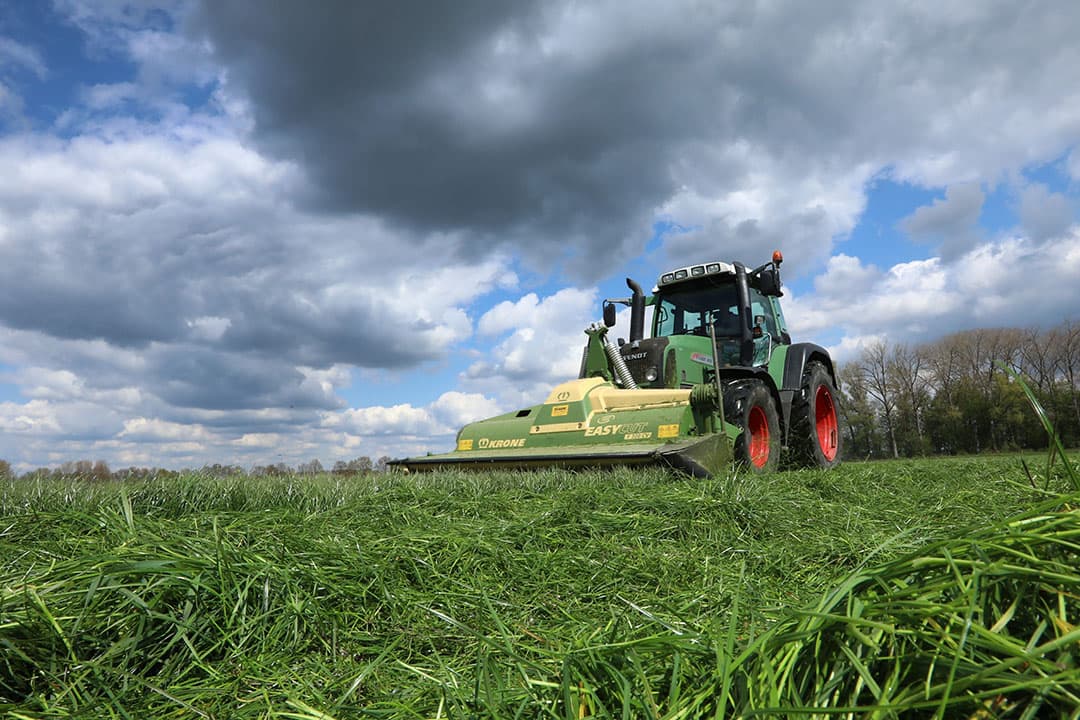 Gras telen onder moeilijker omstandigheden betekent dat de kans op veldschimmels toeneemt. Ook bacteriën, gisten en onkruiden kunnen meekomen en de kwaliteit van de graskuil negatief beïnvloeden. - Foto: Henk Riswick