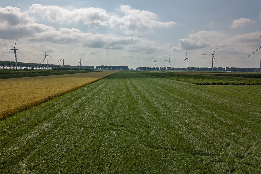 Proeftuin van Pallandtpolder, duurzame landbouw met strokenteelt. Gangbare landbouw is nog steeds meer dan 90% van de totale productie. - Foto: Peter Roek.