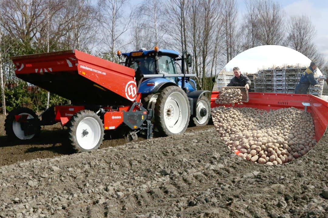 Foto's: Anton Dingemanse
