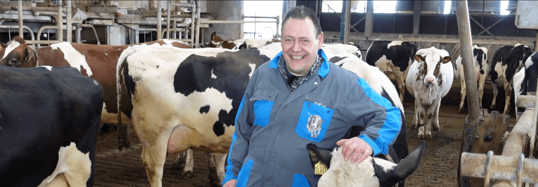 Video | Alleen 160 koeien managen met automatisering