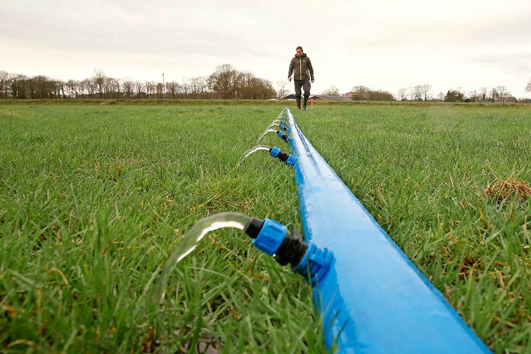 Melkveehouder Zielhorst laat op zijn hoge zandgronden percelen bevloeien met water van een 2 kilometer verderop gelegen rivier. Dit gebeurt op basis van lage druk. Hij houdt zo in de wintermaanden water vast als buffer. - Foto: Hans Prinsen