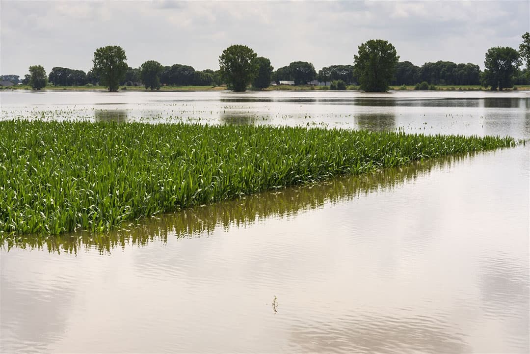 Foto: Bert Spiertz