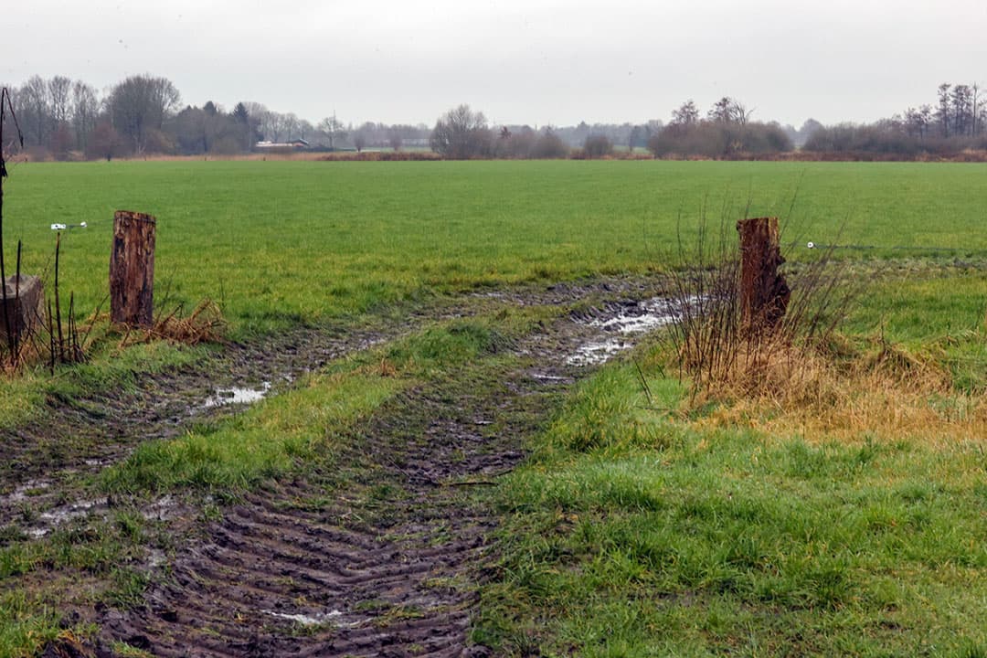Foto: Bert Jansen