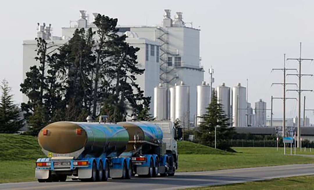 RMO van Fonterra onderweg naar de Darfield zuivelfabriek van het bedrijf vlakbij Christchurch, Nieuw-Zeeland. - Foto: ANP