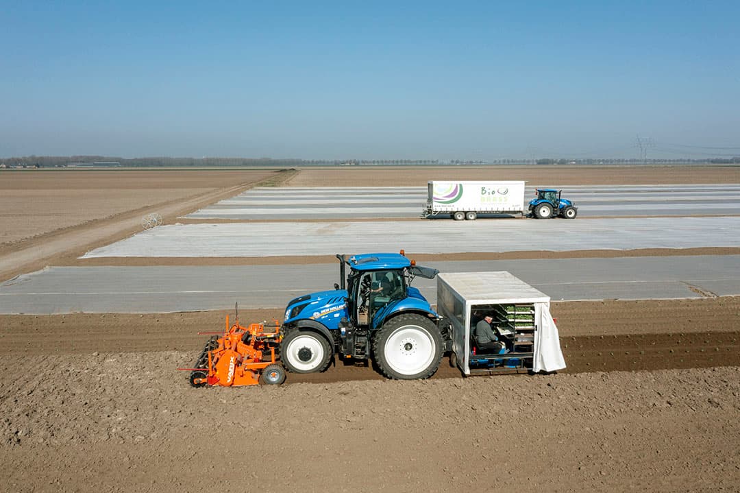 Planten van kool op een biologisch akkerbouwbedrijf. - Foto: Cor Salverius Fotografie