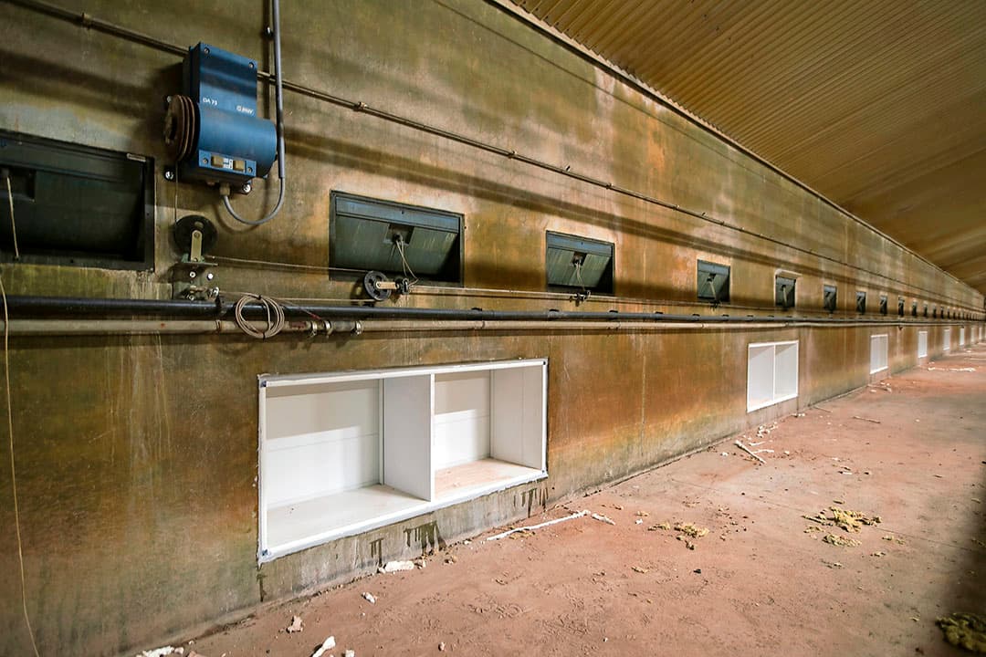 Overdekte uitloop in aanbouw. - Foto: Hans Banus