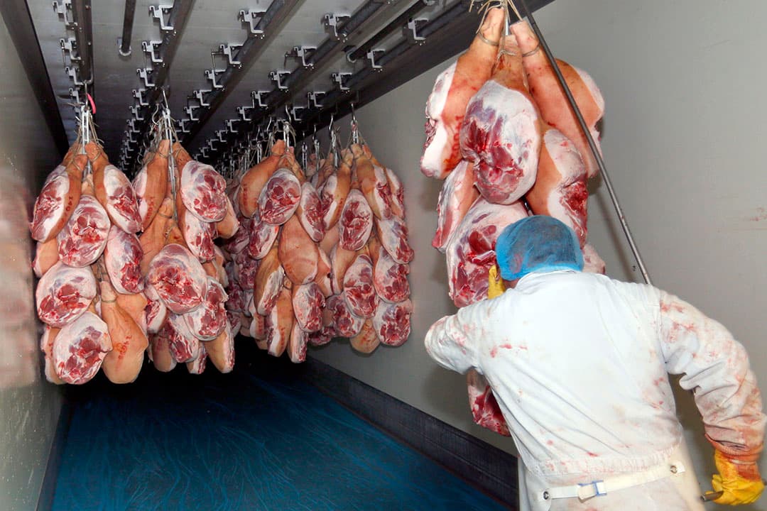 Hammen worden geladen voor export. - Foto: Bert Jansen
