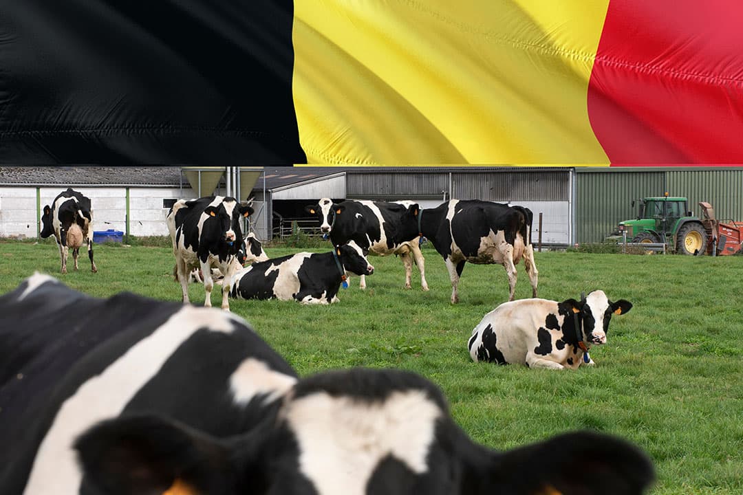 Net als in Nederland sneuvelde ook in Vlaanderen ongeveer een jaar geleden de PAS (Programmatische Aanpak Stikstof) bij de rechter. - Foto: Twan Wiermans/Pixabay