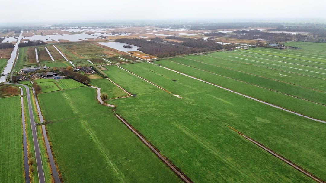 Landbouwgrond bij het Natura 2000-gebied van de Nieuwkoopse Plassen. - Foto: Herbert Wiggerman