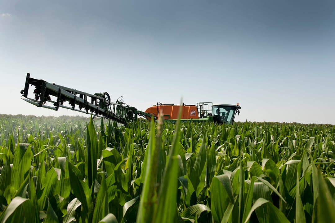 Voor een effectieve werking van Propulse tegen schimmels, zoals bladvlekkenziekte, is het belangrijk om tijdens spuiten alle bladeren van de maisplant goed te raken. - Foto: Mark Pasveer