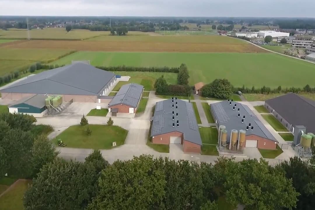 Foto: Proefbedrijf Pluimveehouderij