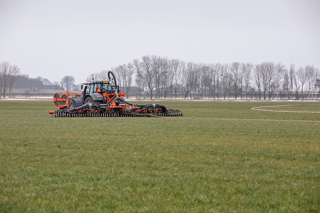 Foto: Koos van der Spek