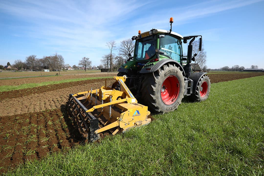Wacht niet te lang met onderwerken van het vanggewas voor de maisteelt, adviseert ForFarmers. - Foto: Henk Riswick