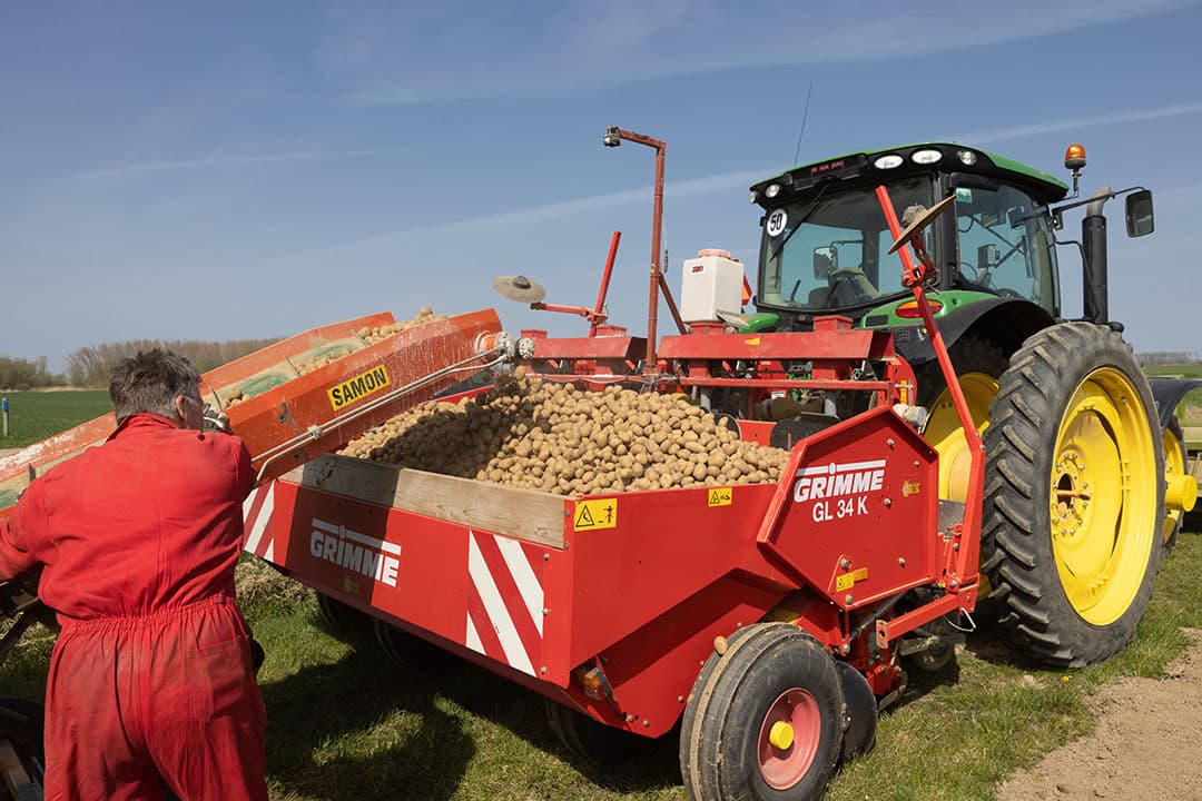 Poten van fritesaardappelen. De door POC ontwikkelde contracttool is een handvat om eens kritisch naar de geboden fritesaardappelcontracten te kijken. - Foto: Peter Roek