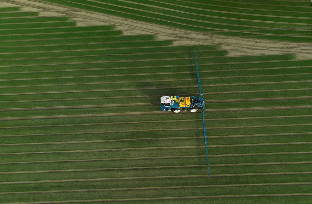 Belangrijke middelen dreigen niet geproduceerd te worden, zoals schimmelbestrijder Fandango dat wordt gebruikt in de uienteelt. - Foto: Hans Prinsen