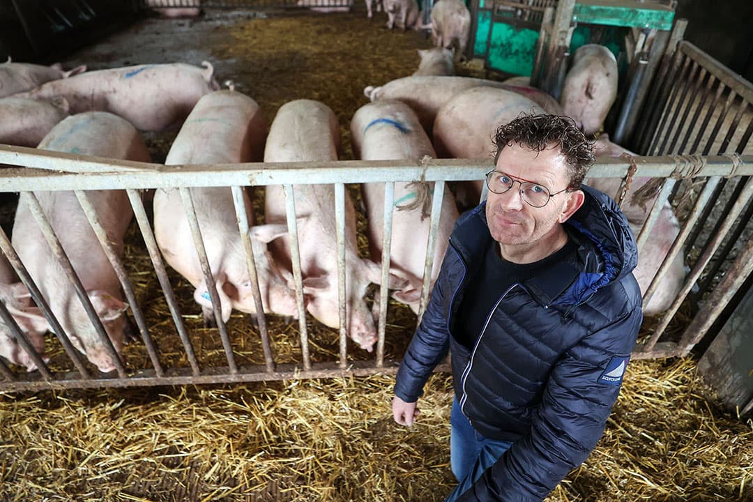 Eric van Zutphen (55) heeft in Zijtaart (N.-Br.) een bedrijf met 530 zeugen. - Foto's: Bert Jansen