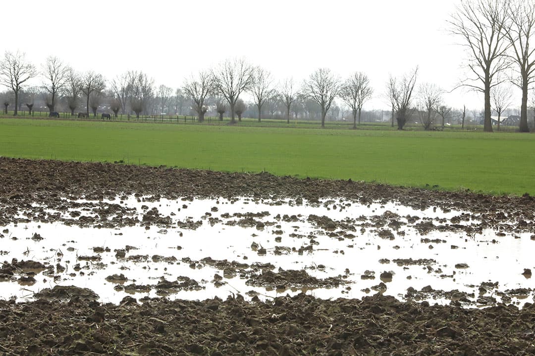 Door extreem weer kunnen boeren niet altijd op gewenste momenten mest uitrijden. - Foto: Henk Riswick