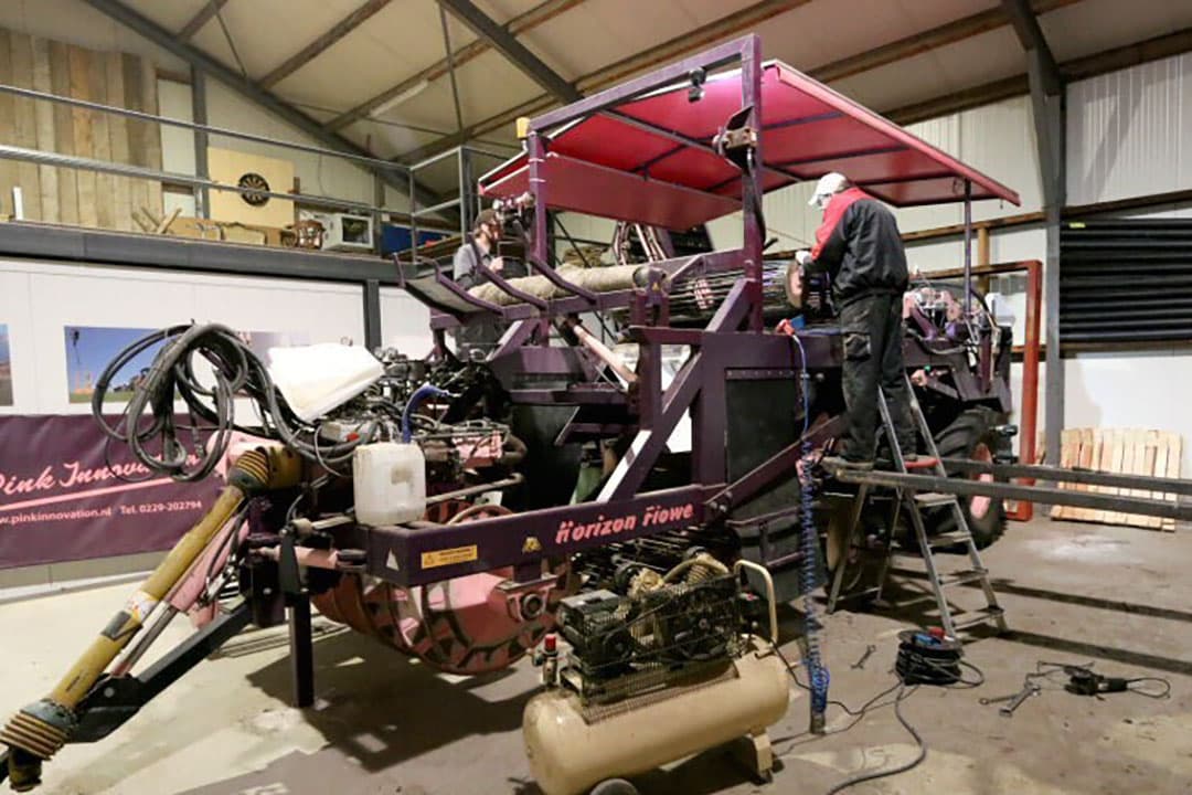 Foto's: Anton Dingemanse