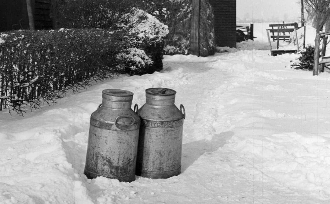 In februari 1947 was er nog geen zicht op het einde van de winter. Er kwam zelfs nog een schepje bovenop. Het vorstvrij houden van voer en melk en het schoonboenen van de bussen, was een hele uitdaging. - Foto: Misset