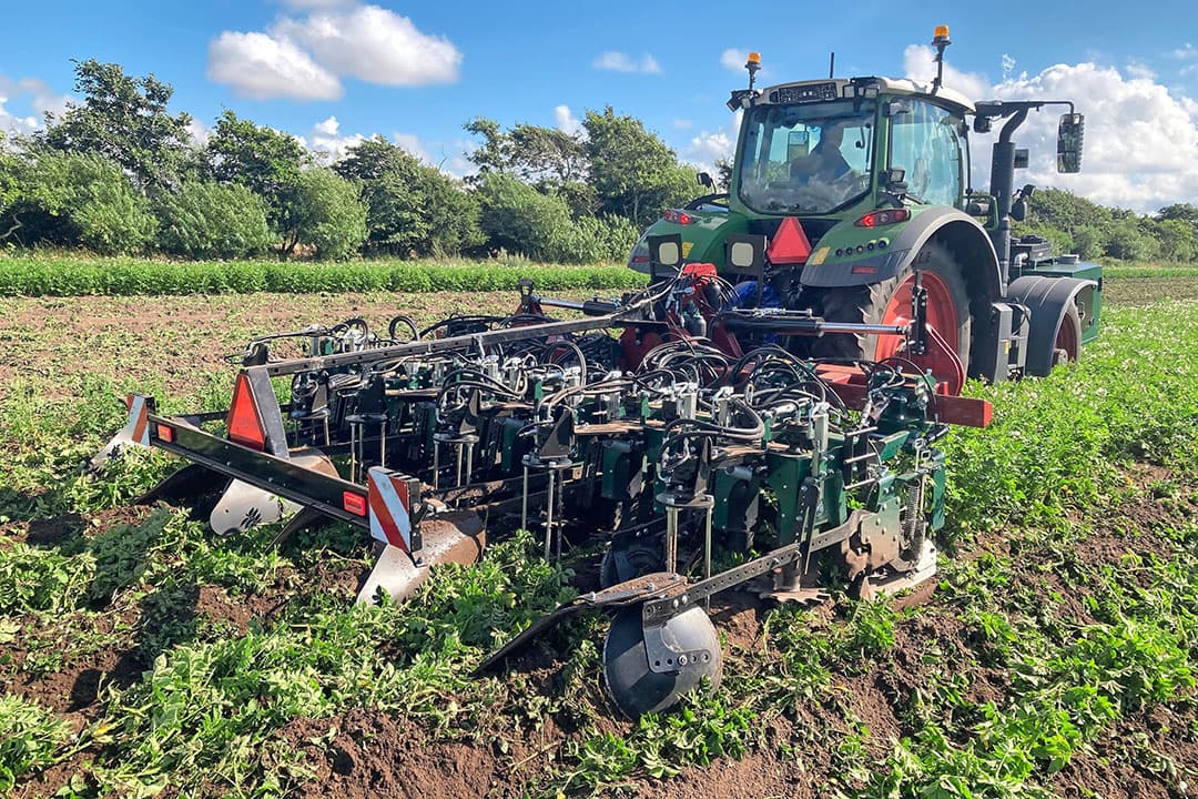 Twee horizontale, aangedreven gekartelde schijven met verschillende draaisnelheid snijden de stengels net boven de rug rafelig af. Door inscheuren van het groeipunt sterft de plant. - Foto's: MRS Plant Technology