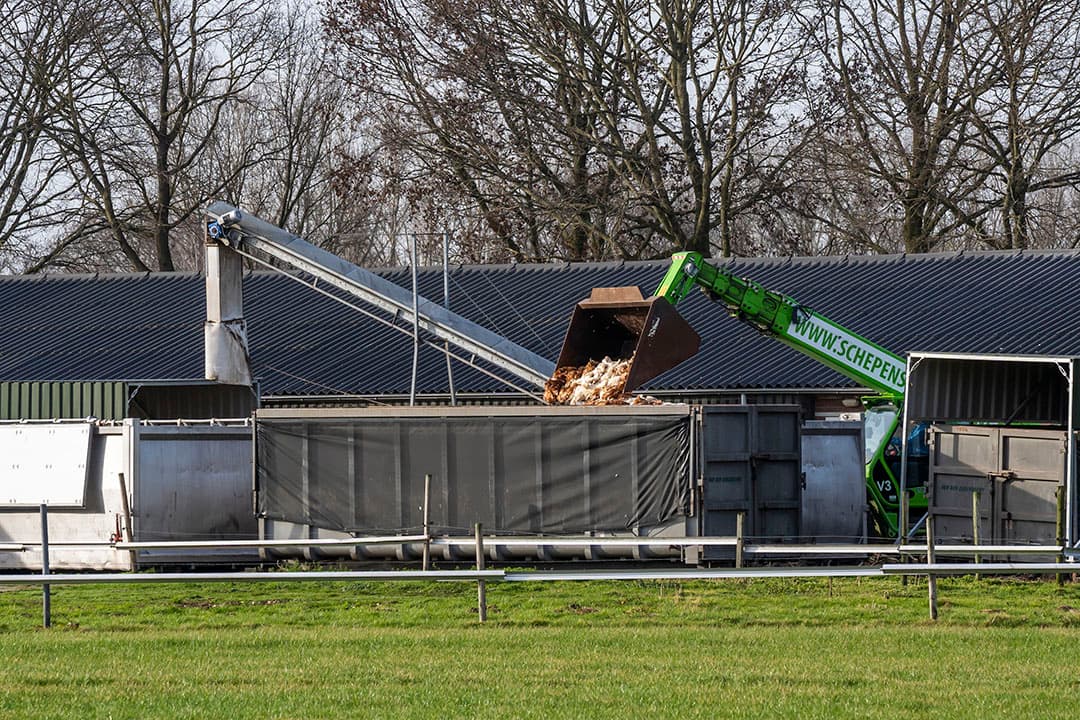 Archieffoto van ruimen van een pluimveestal. - Foto: Bert Jansen