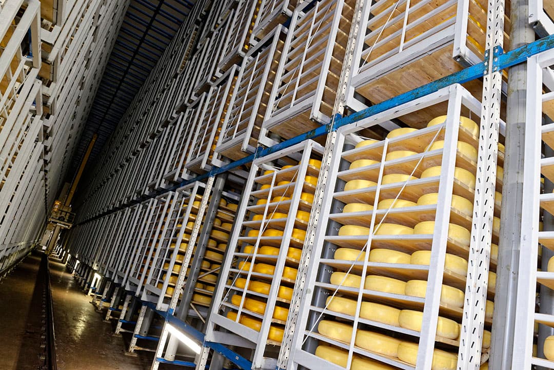 Noord-Hollandse kaas wordt gemaakt in de kaasfabriek in Lutjewinkel. Door de specifieke herkomst en de regiogebonden productie is de kaas door de EU erkend als authentiek streekproduct. - Foto: Lex Salverda