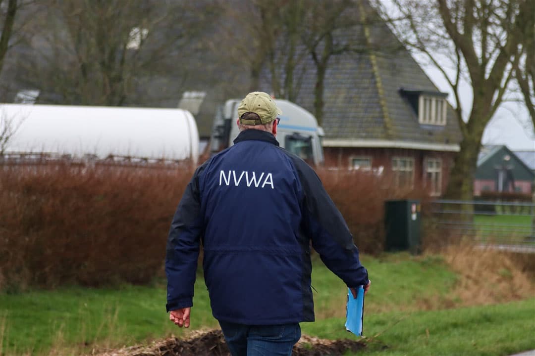 In het Friese Blija werden 222.000 vleeskuikens geruimd nadat besmetting met vogelgriep werd geconstateerd. - Foto: ANP