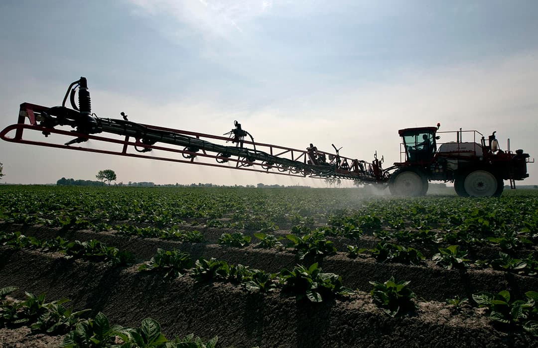 Spuiten van aardappelen tegen phytophthora. - Foto: Dennis Beek