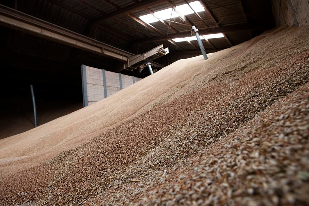 Opslag veevoer. Vorig jaar nam Cargill 328.966 monsters bij boeren, in opslagplaatsen en in fabrieken, verdeeld over 54 landen. Foto: Hans Banus