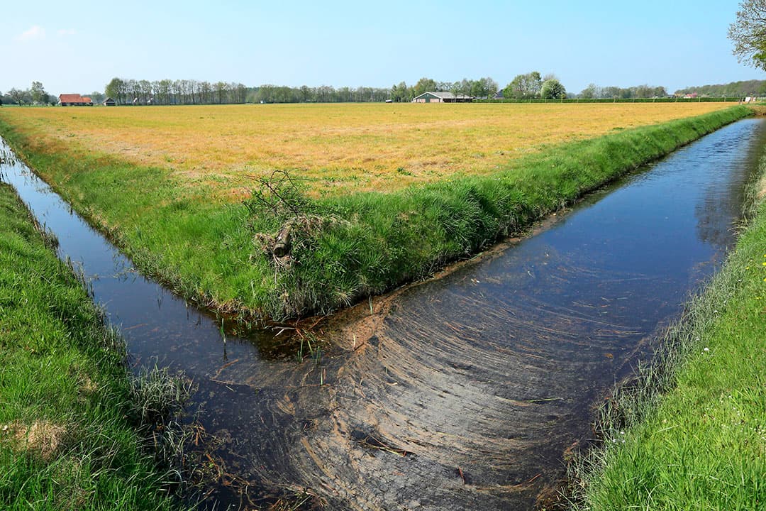 Geelgekleurde percelen die zijn doodgespoten met glyfosaat. - Foto: Henk Riswick